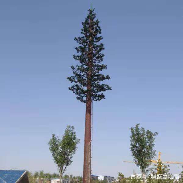 1554774279424530.jpeg 1547430921.jpeg